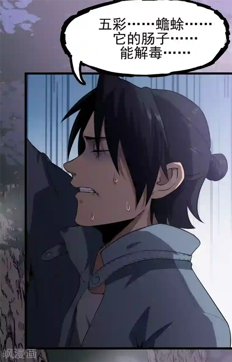虫岭怪谈第15话 五彩蟾蜍
