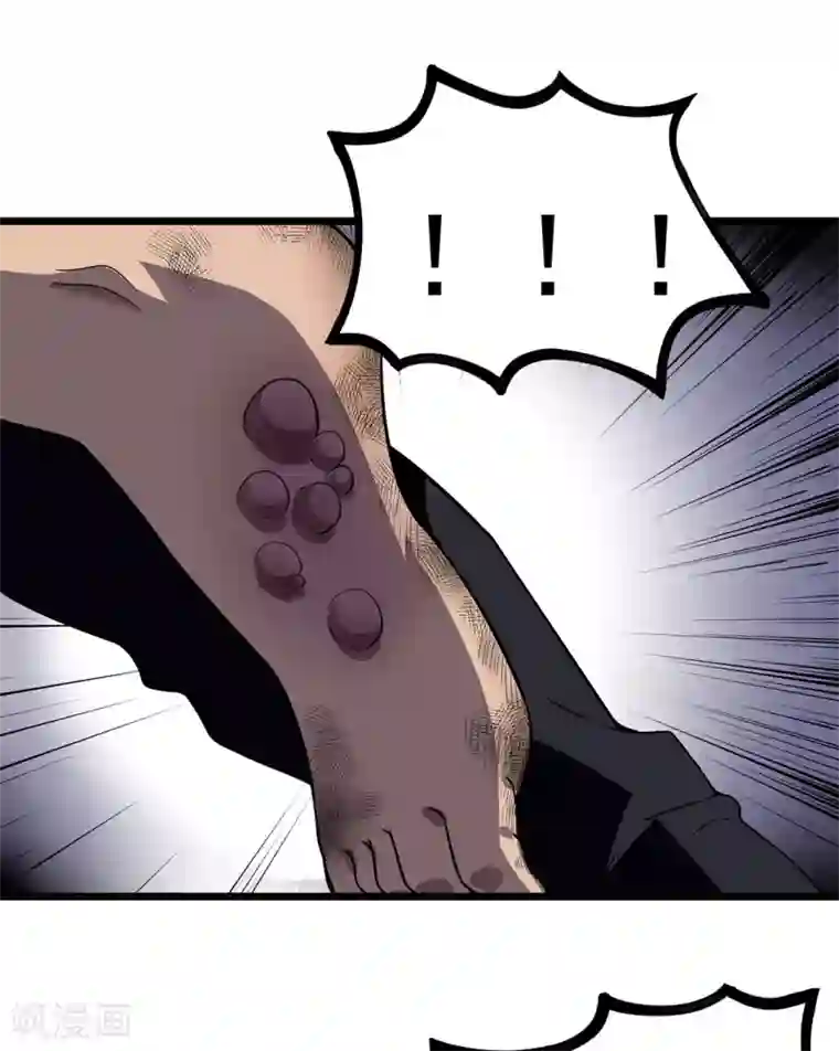 虫岭怪谈第15话 五彩蟾蜍