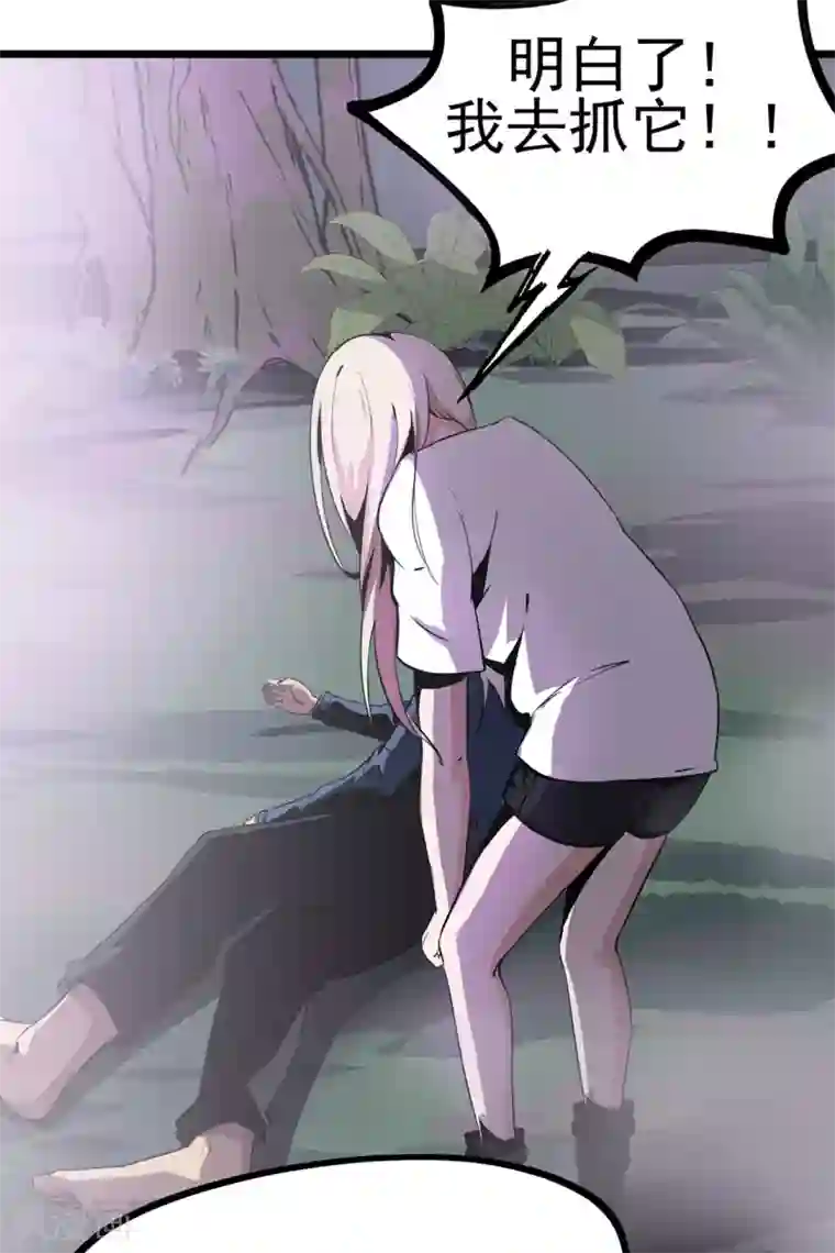 虫岭怪谈第15话 五彩蟾蜍