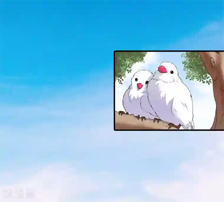 傲娇冷男攻略计第11话 你是我秘书