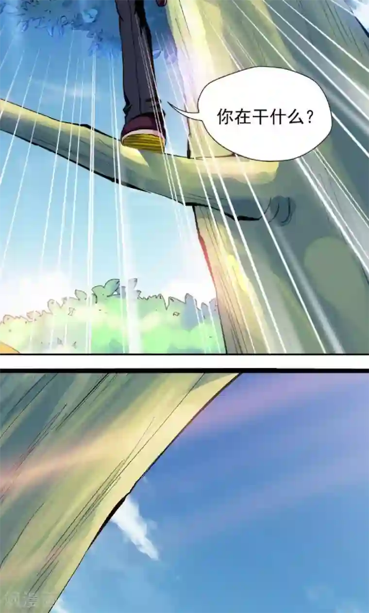 熊孩子和他的狼族朋友第1话