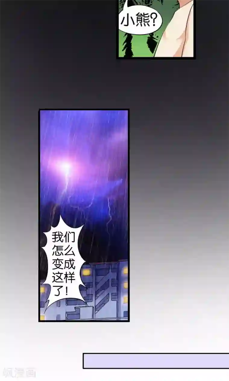 熊孩子和他的狼族朋友第31话