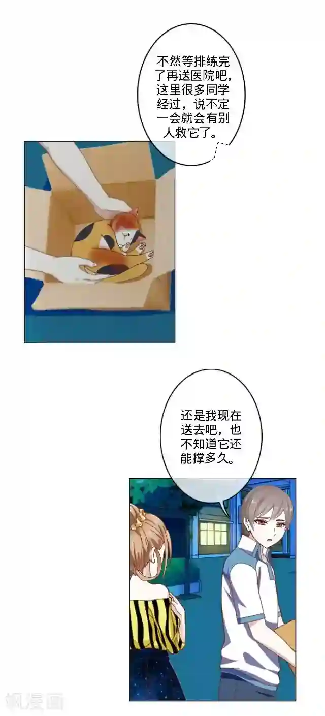 走开，前女友第23话 一只猫