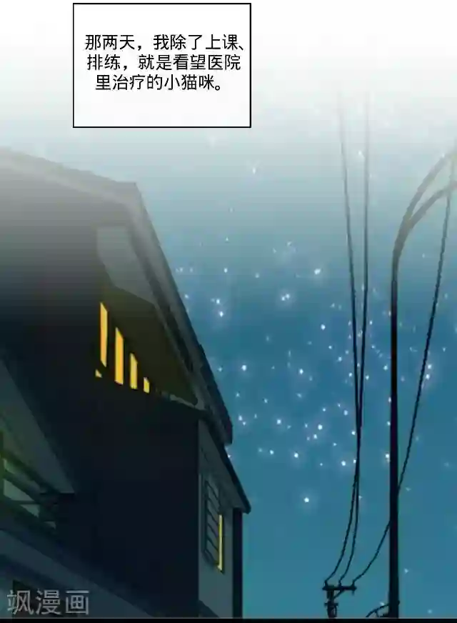 走开，前女友第23话 一只猫