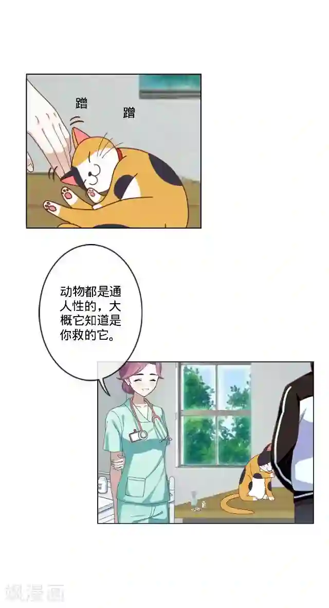 走开，前女友第23话 一只猫