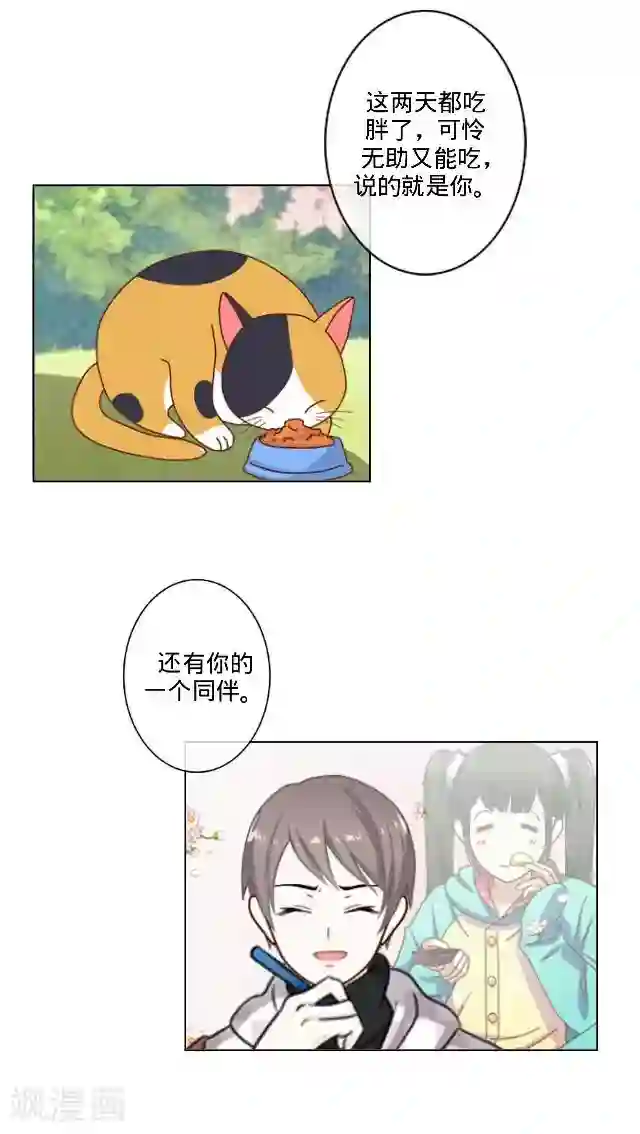 走开，前女友第23话 一只猫