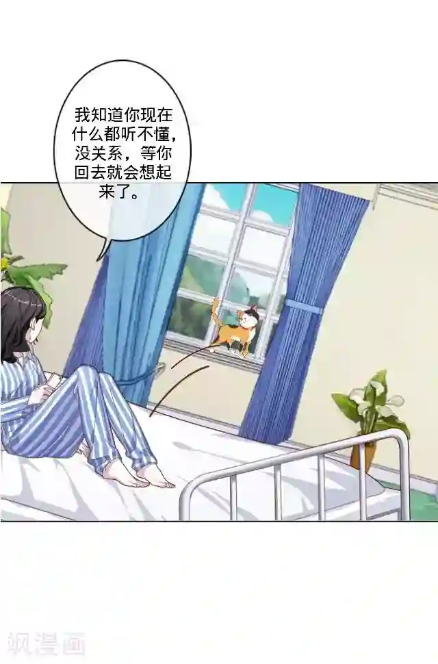 走开，前女友最终话 最好的安排