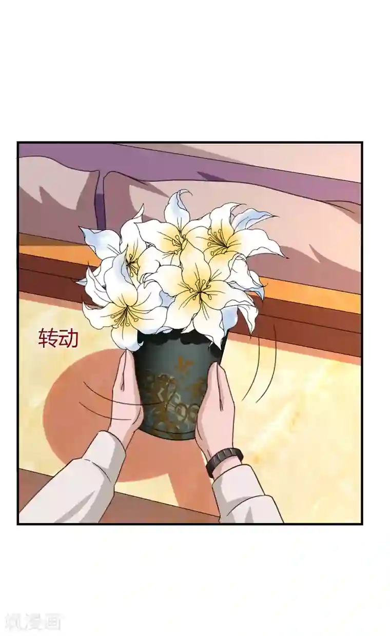 男神，求你收了我第40话 收藏家