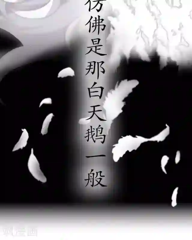 黑天鹅序章 我就好像黑天鹅