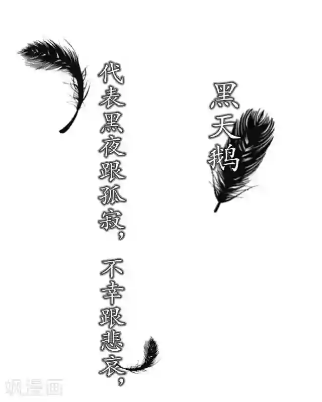 黑天鹅序章 我就好像黑天鹅