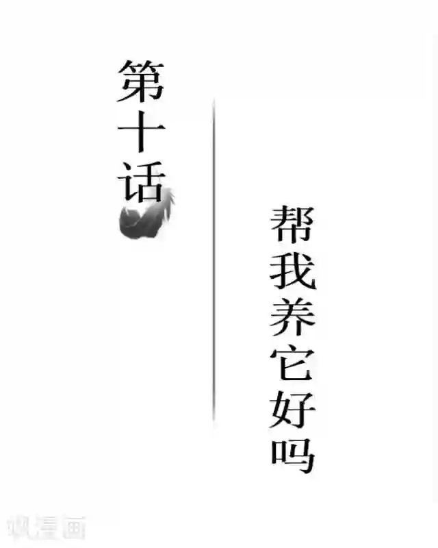 黑天鹅第10话 帮我养它好吗？