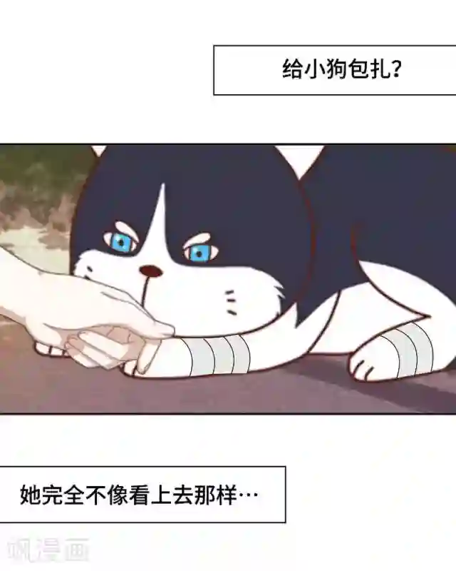 黑天鹅第10话 帮我养它好吗？