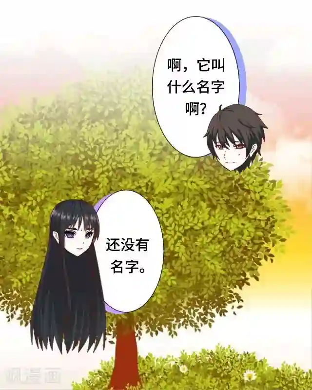 黑天鹅第10话 帮我养它好吗？