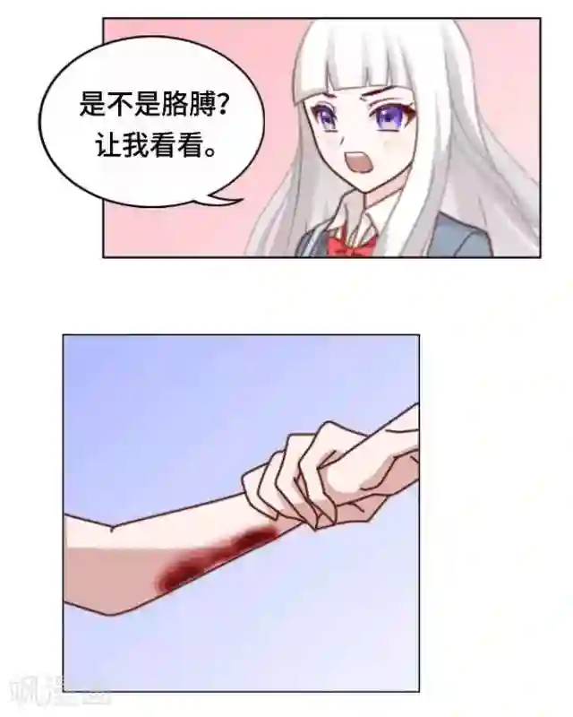 黑天鹅第10话 帮我养它好吗？