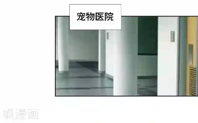 黑天鹅第13话 他们的关系