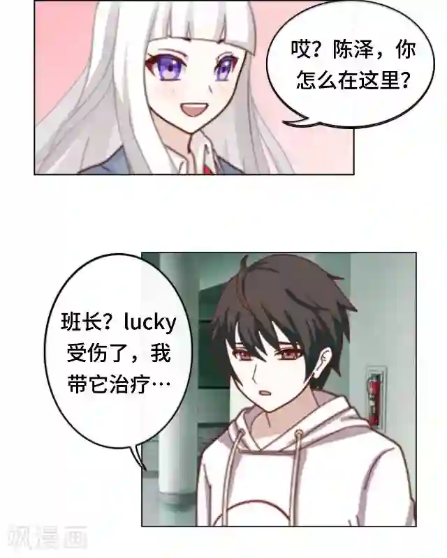 黑天鹅第13话 他们的关系
