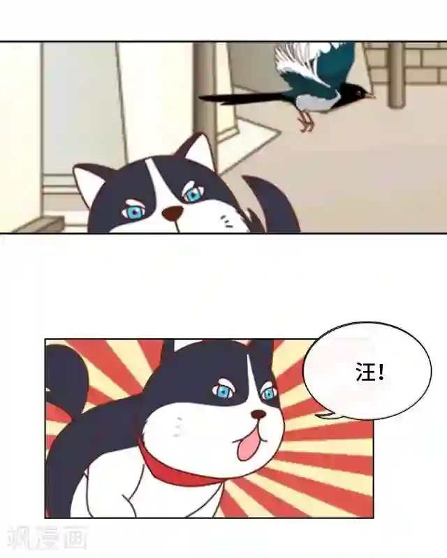 黑天鹅第13话 他们的关系
