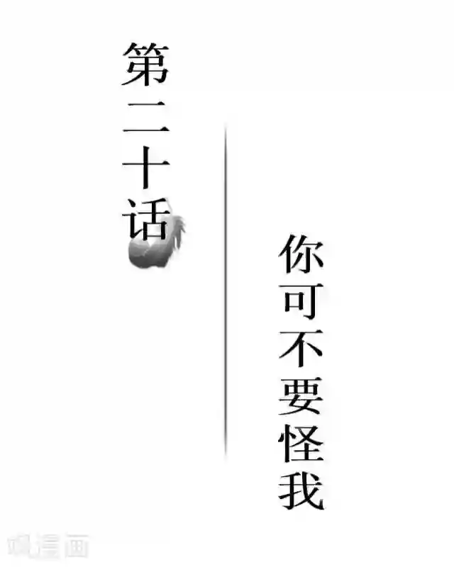 黑天鹅第20话 你可不要怪我