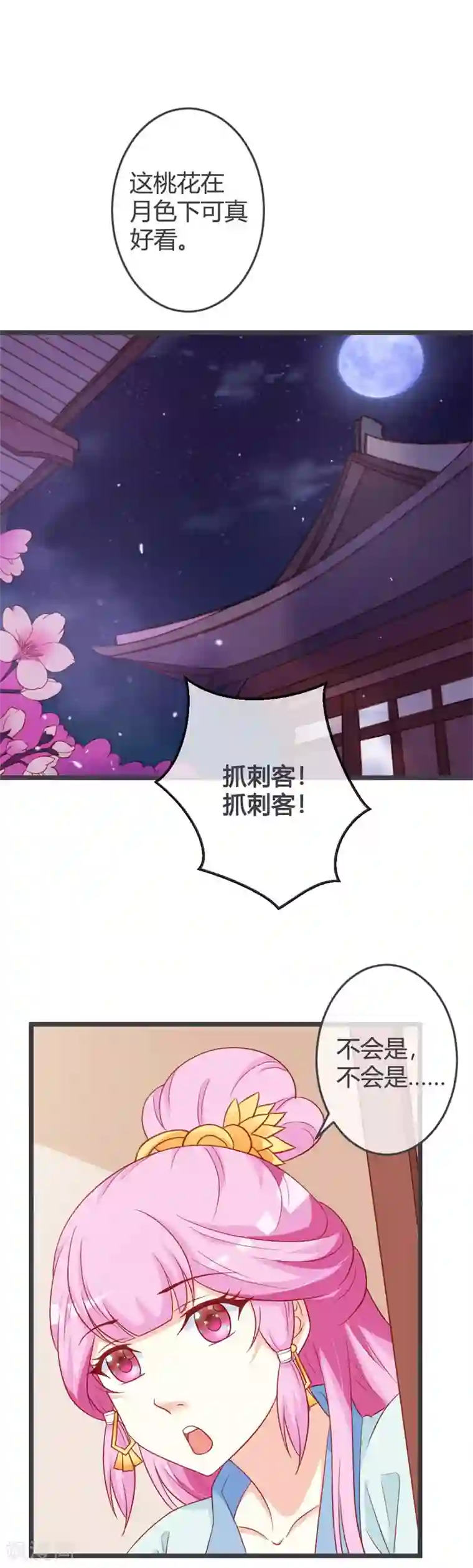 重生医妃狠角色第64话 有刺客！