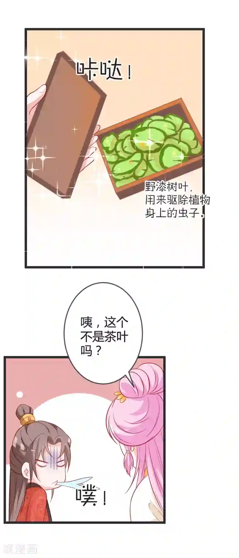 重生医妃狠角色第102话 皇兄的重托