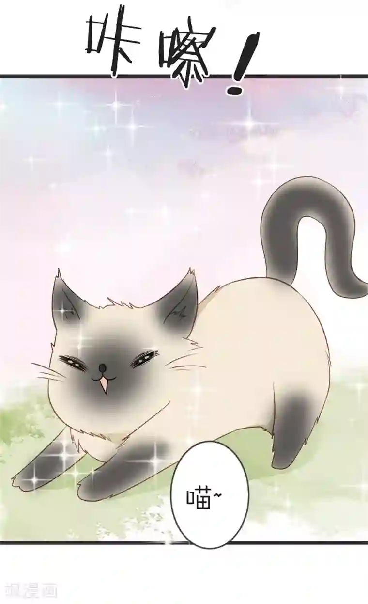 重生医妃狠角色第103话 朵朵郡主的托付