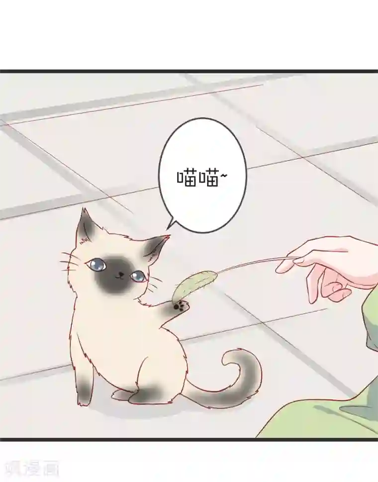 重生医妃狠角色第103话 朵朵郡主的托付