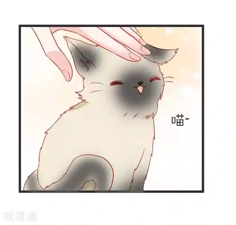 重生医妃狠角色第103话 朵朵郡主的托付