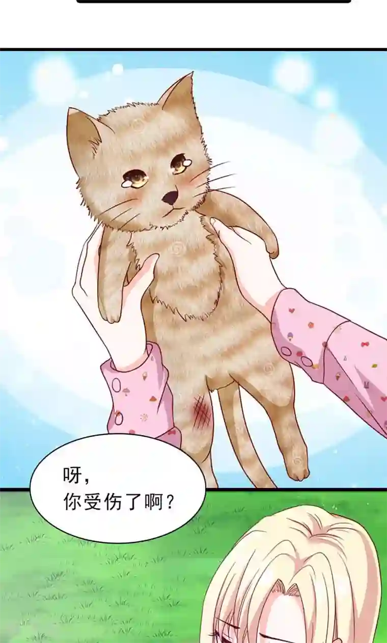 婚不离情第11话 你要有觉悟