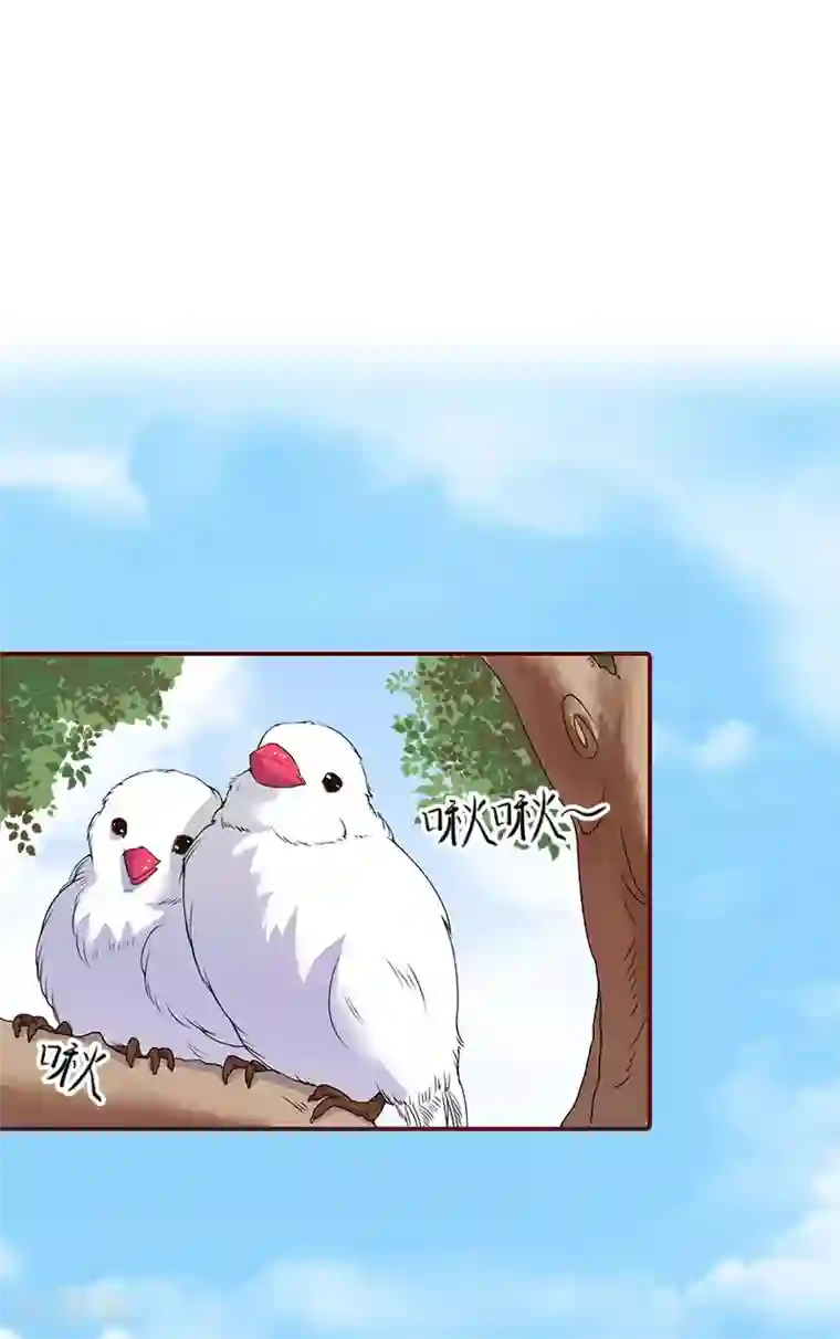 总裁难拒：夫人，请深爱！第20话 最后的告别！