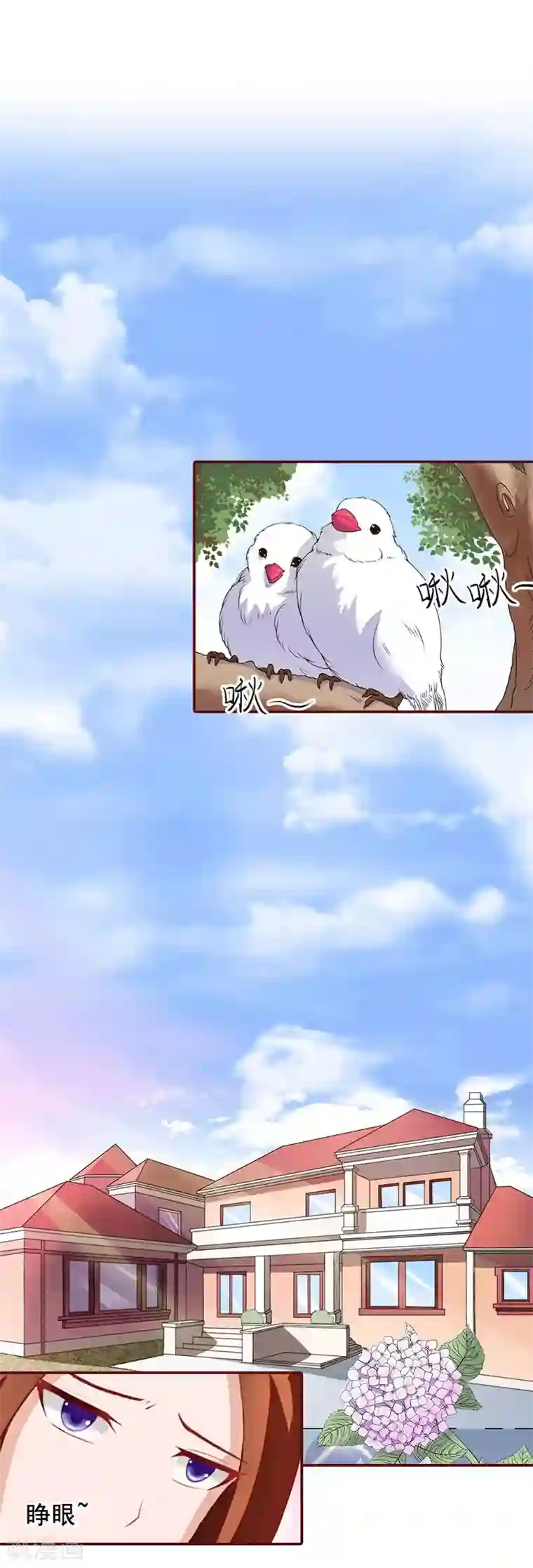 总裁难拒：夫人，请深爱！第25话 婚约取消！