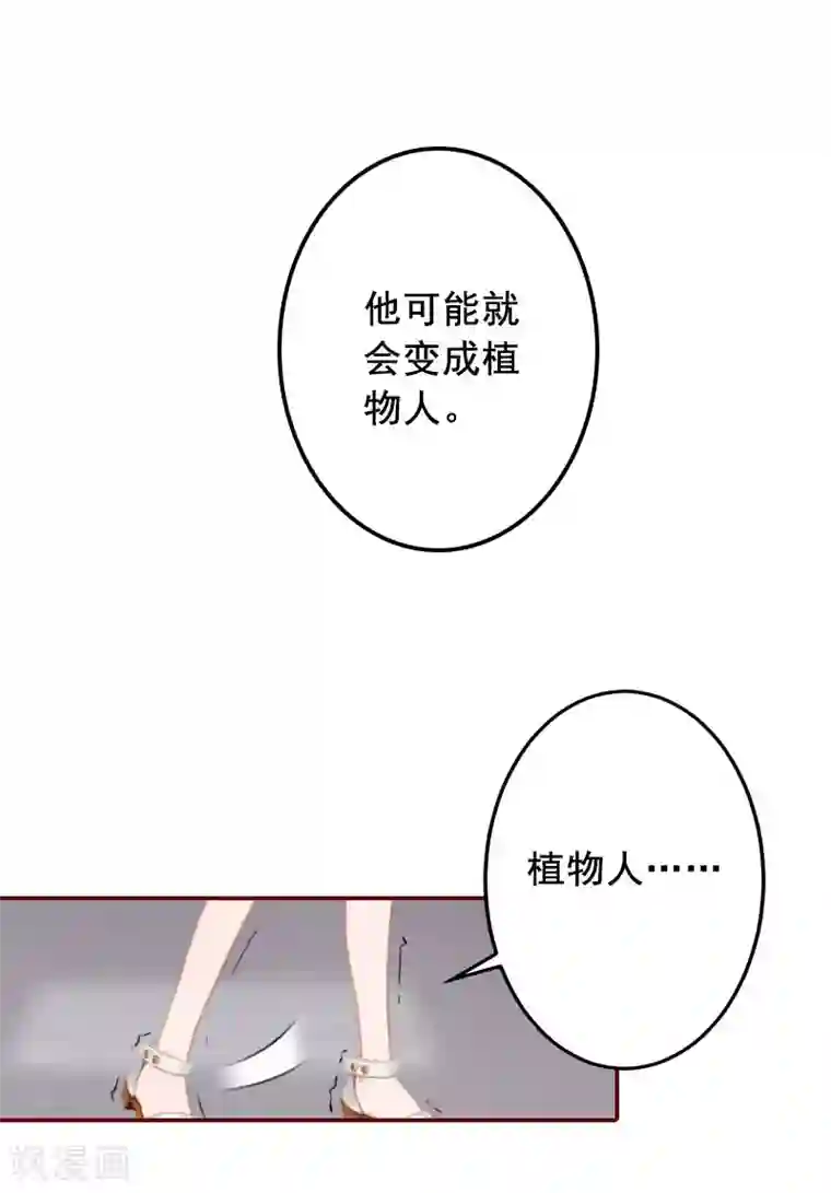 总裁难拒：夫人，请深爱！第38话 袁浅，你没资格！