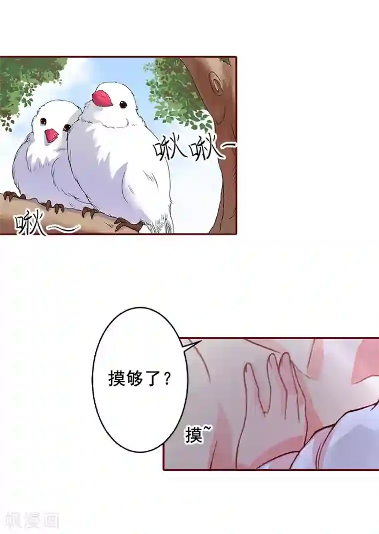 丰腴美妇旗袍成熟贵妇第62话 黎菲儿怀孕了