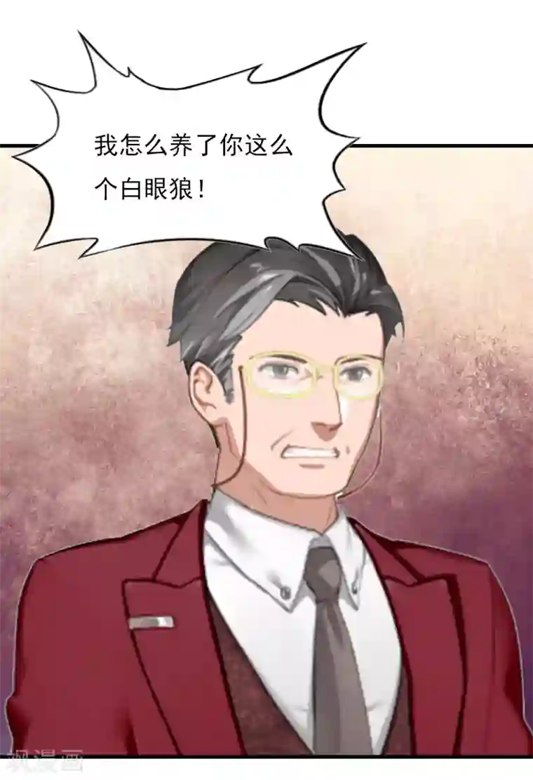 亿万豪门：首席总裁深深宠第23话 计划