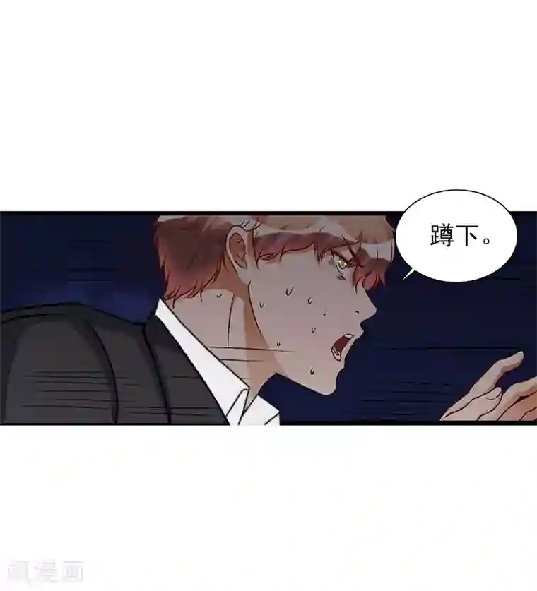 亿万豪门：首席总裁深深宠第26话 一切的开端
