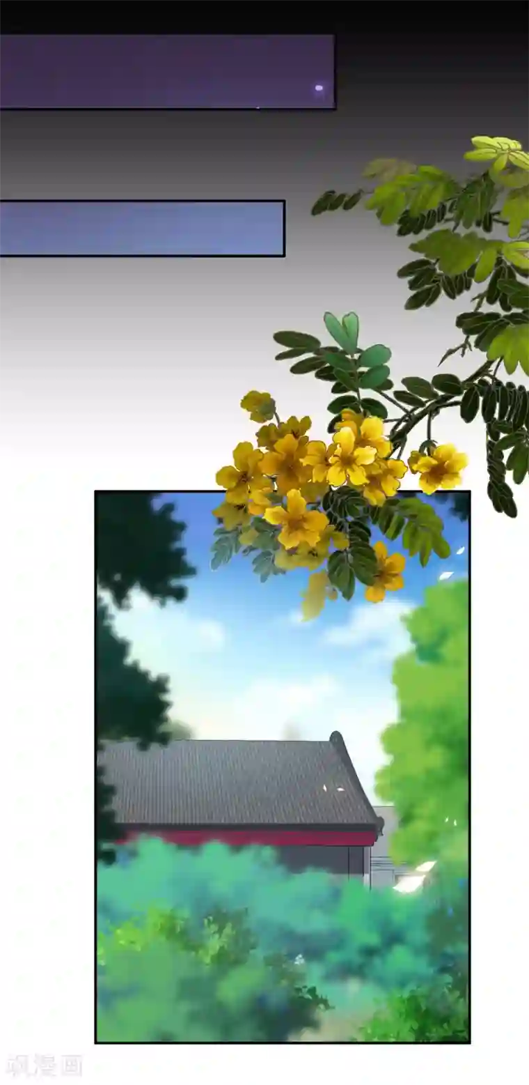 穿越王妃要升级第122话 前世今生