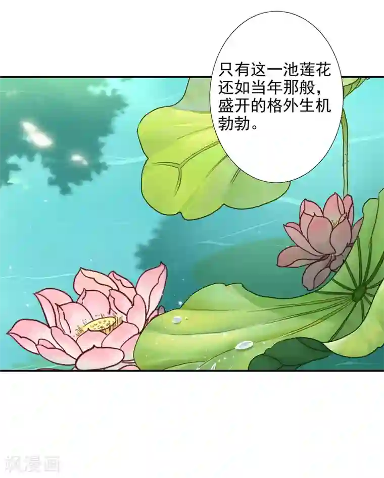 穿越王妃要升级第54话 遭遇劲敌