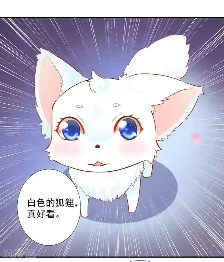 穿越王妃要升级第60话 终于上车了！