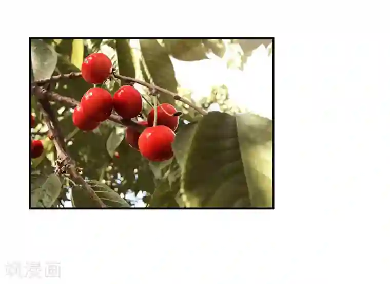 穿越王妃要升级第74话 宠妻狂魔