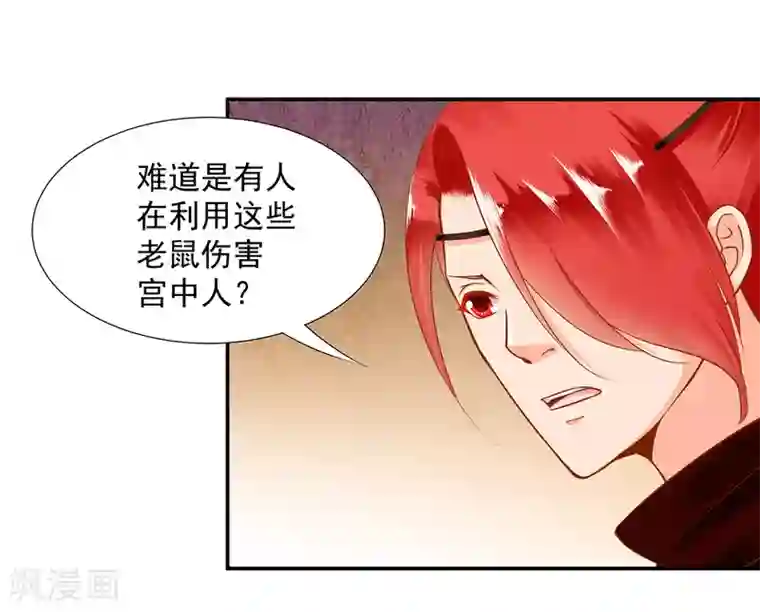 穿越王妃要升级第85话 硕鼠硕鼠