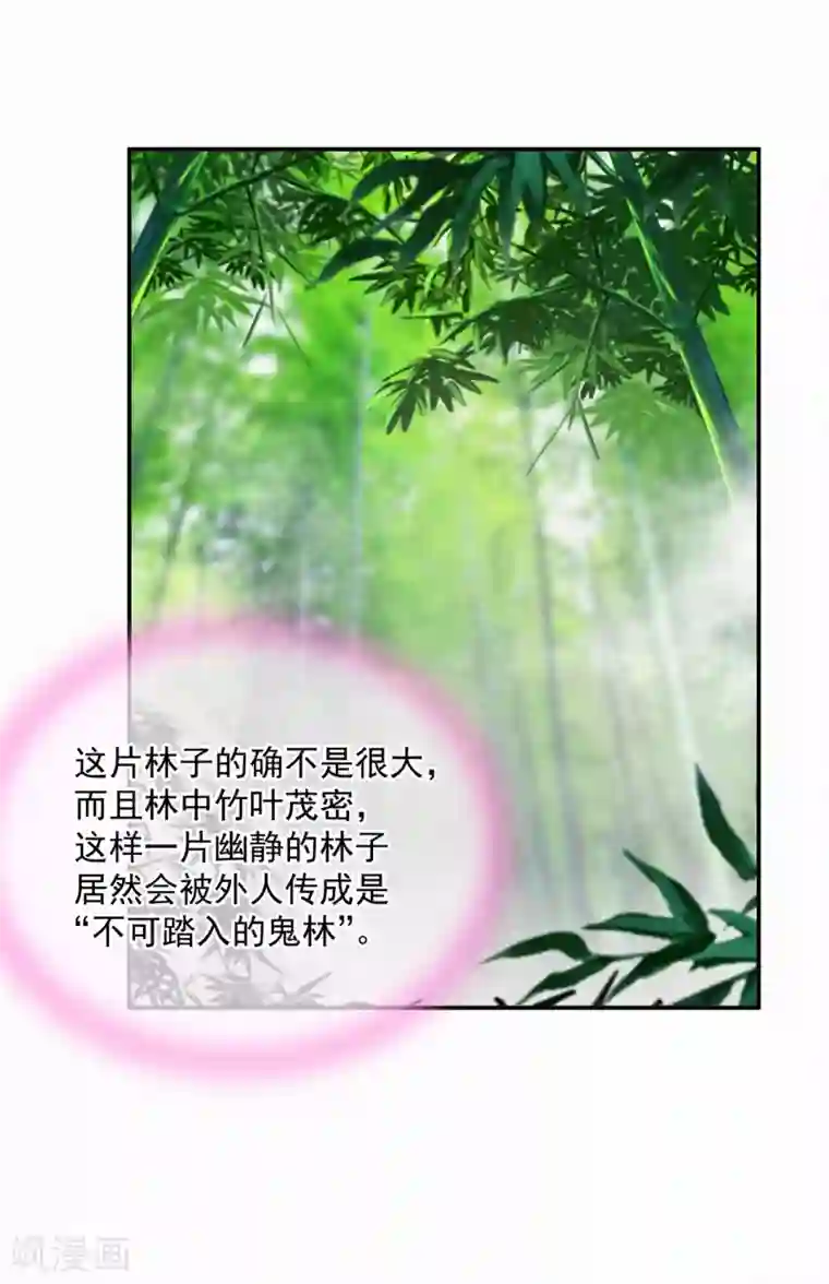 穿越王妃要升级第100话 “鬼林”深处