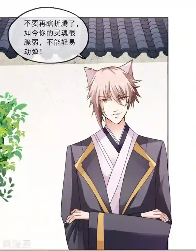 猫妖老公请温柔第1话