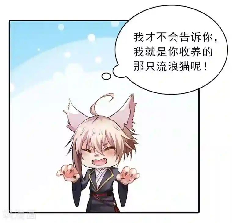 猫妖老公请温柔第1话