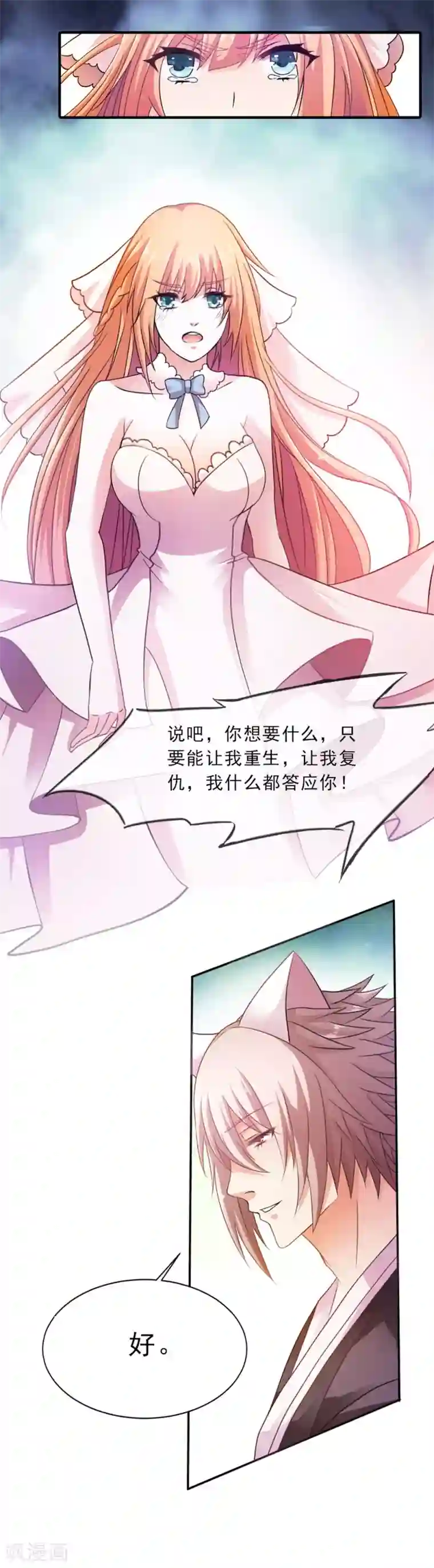 猫妖老公请温柔第2话 重生和复仇