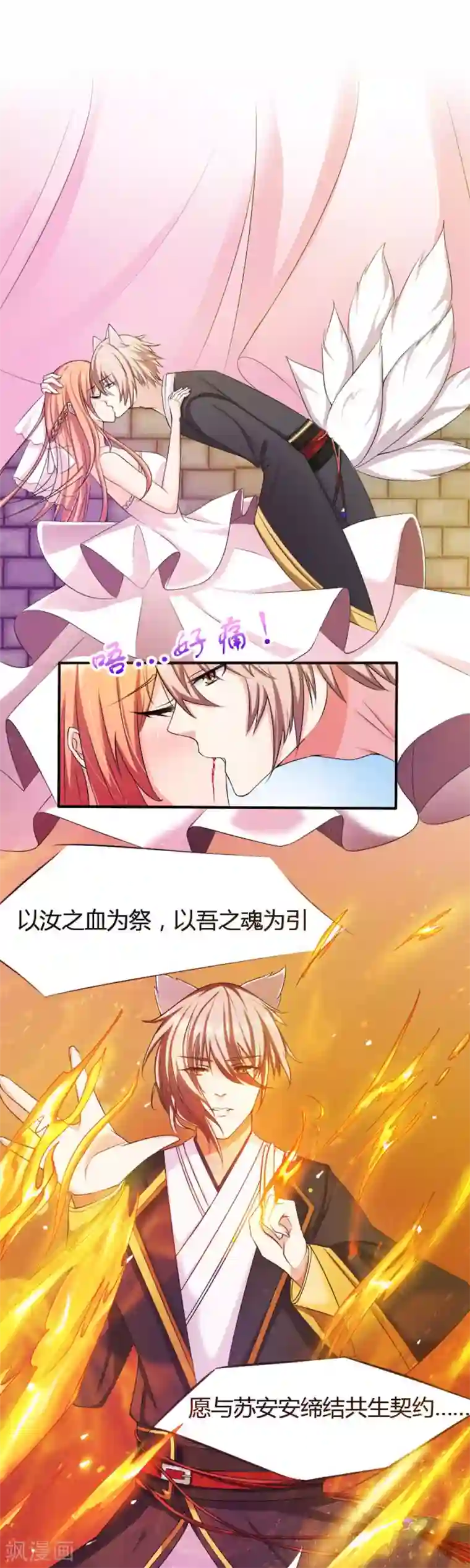 猫妖老公请温柔第3话 共生契约