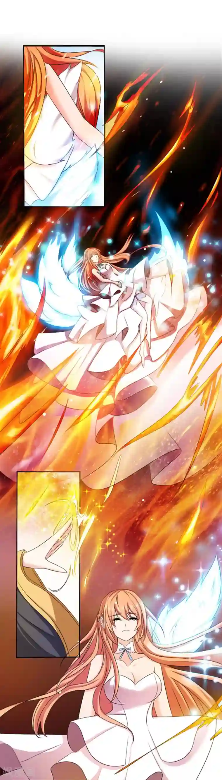 猫妖老公请温柔第3话 共生契约