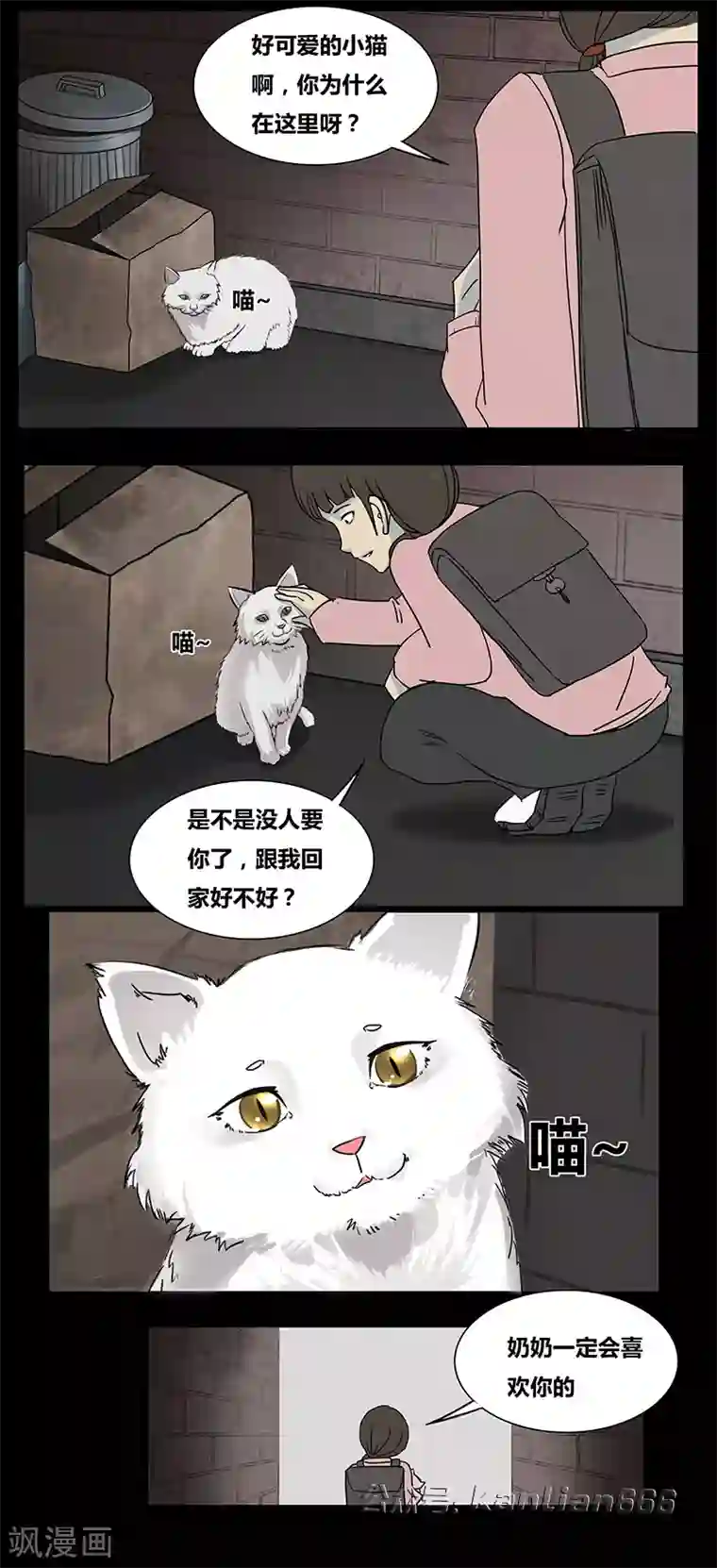 细思极恐故事会第55话 老人与猫