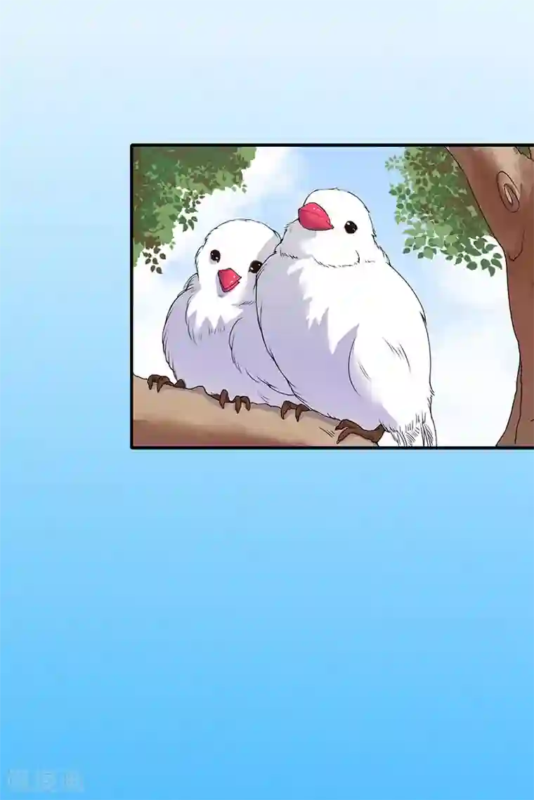 慕少蜜宠：前妻在上第7话 火葬？