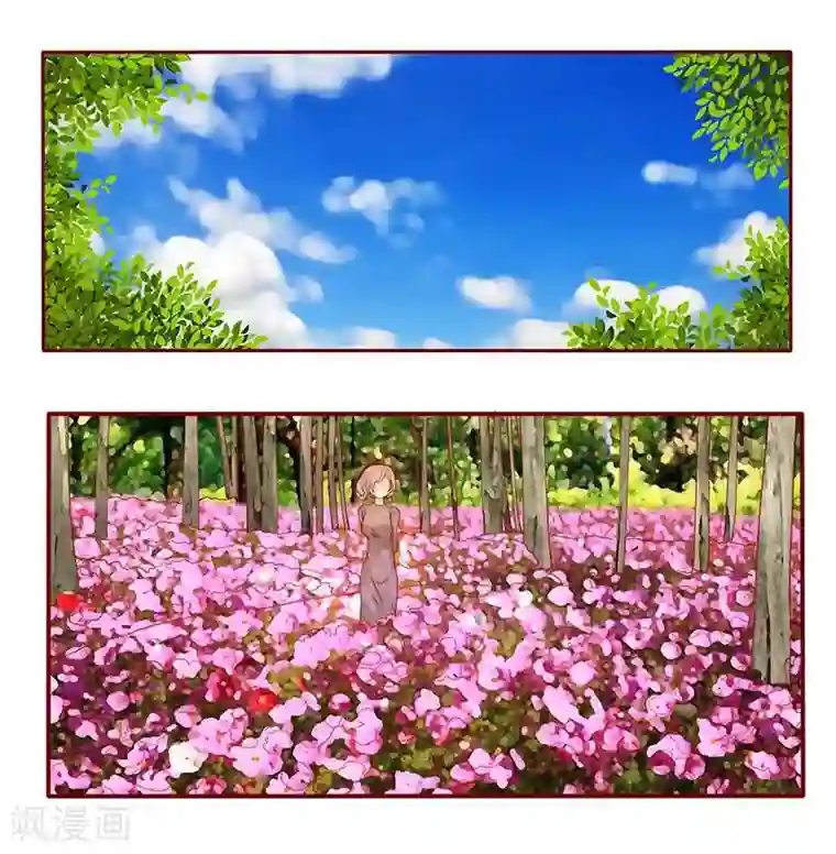 霸道总裁爱上我第35话 淀园花谷