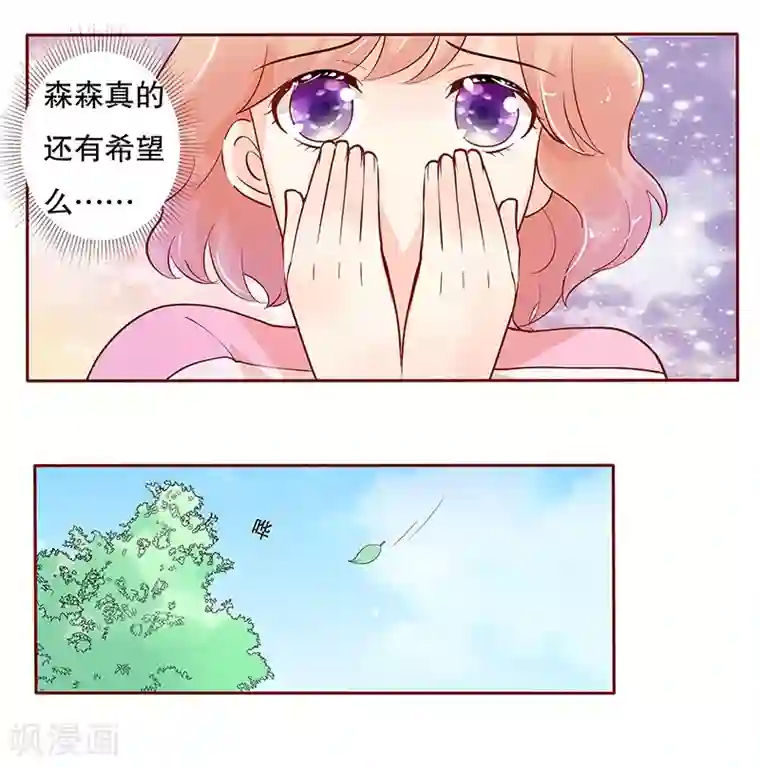 霸道总裁爱上我第79话 森森的希望