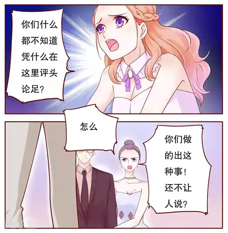 霸道总裁爱上我第95话 叶家的私生女